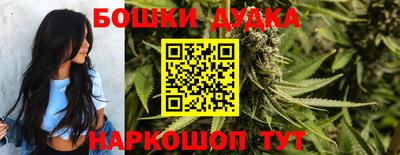 apvp Кимры