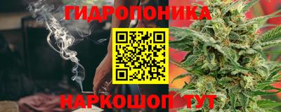 apvp Кимры