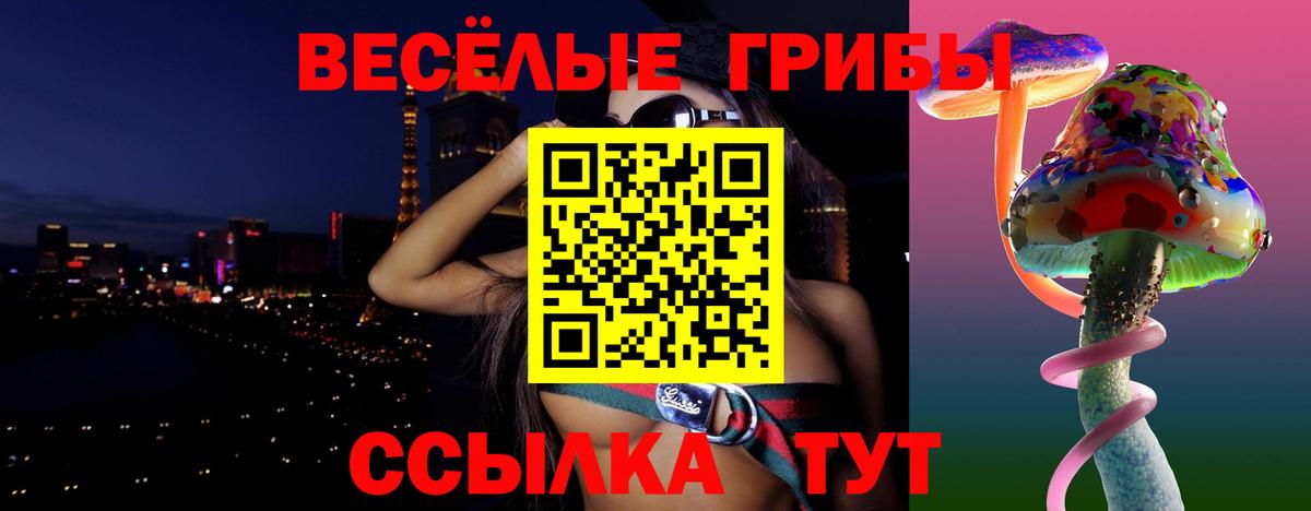 Псилоцибиновые грибы Cubensis Куйбышев